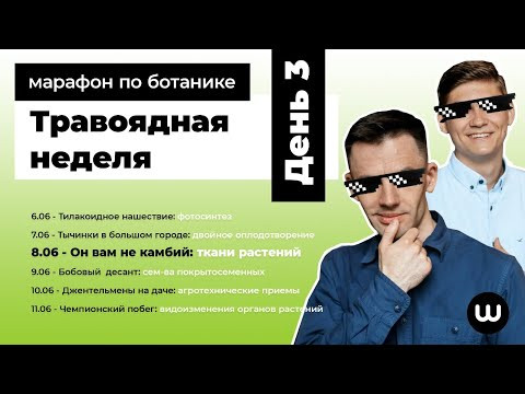 ТКАНИ РАСТЕНИЙ | ЕГЭ Биология 2020 | Даниил Дарвин | Вебиум