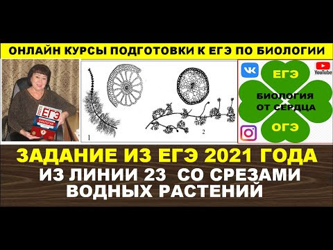 ЗАДАНИЕ ИЗ ЕГЭ 2021. ЛИНИЯ 23. ПРО СРЕЗЫ ВОДНЫХ РАСТЕНИЙ ЗАДАНИЕ ИЗ ЕГЭ 2021. ЛИНИЯ 23. ПРО СРЕЗЫ ВОДНЫХ РАСТЕНИЙ