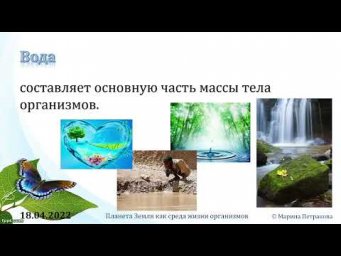 5 класс. Урок 19 апреля 2022 года