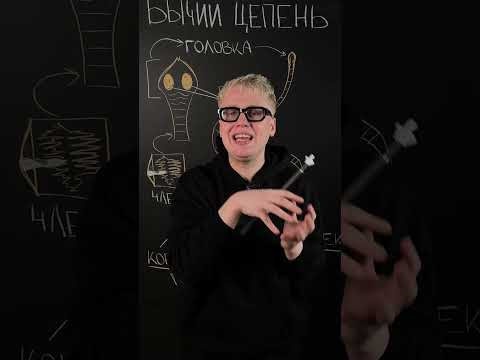 Бычий цепень | Биология с Яном