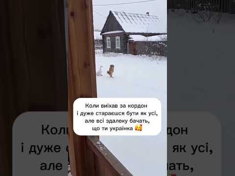 6 лютого 2026 р.