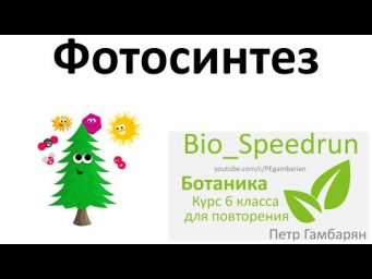10. Фотосинтез (Speedrun ботаника 6 класс, ЕГЭ, ОГЭ 2021)
