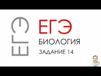 ЕГЭ биология 2020 Задание 14 Рохлов разбор