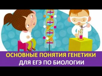 2. Основные понятия генетики для ЕГЭ по биологии