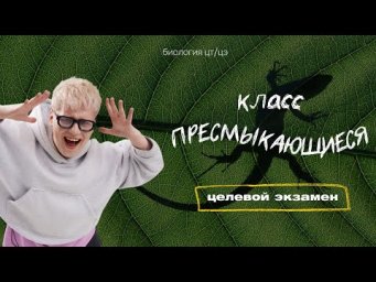 КЛАСС ПРЕСМЫКАЮЩИЕСЯ | Целевой экзамен