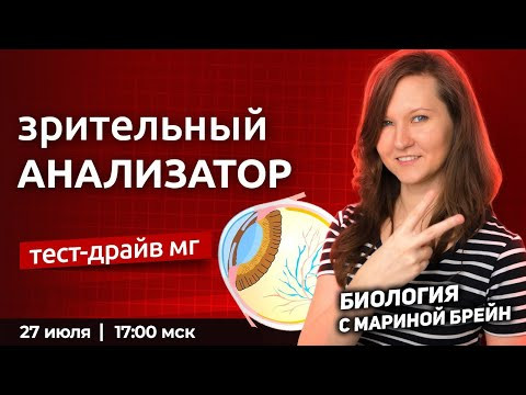 Зрительный анализатор ЕГЭ | Пробная неделя мастер-группы с Мариной Брейн Зрительный анализатор ЕГЭ | Пробная неделя мастер-группы с Мариной Брейн