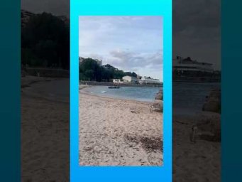 Пляжные хроники: ❤️люди и питомцы 