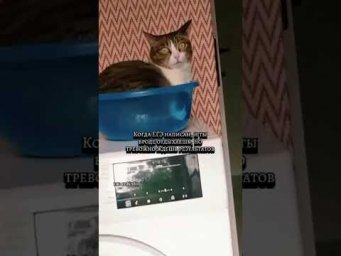 А как вы ждете результаты ЕГЭ #химияегэ