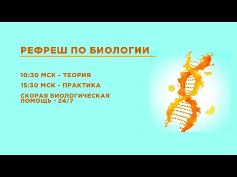 Поступление 2019 |  Отвечаем на вопросы
