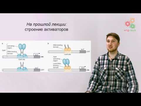 Регуляция работы генов. Регуляторные РНК (без музыки)