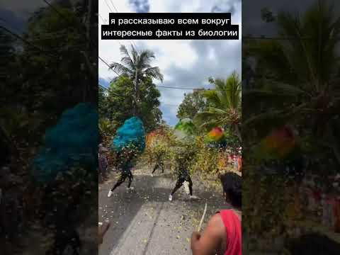 Ты знаешь, где их искать Ты знаешь, где их искать