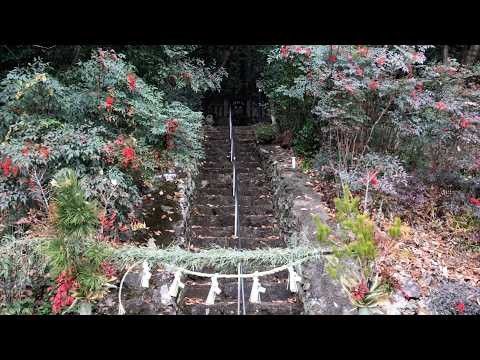Happy New Year Message from Mark Kulek ESL Happy New Year Message from Mark Kulek ESL