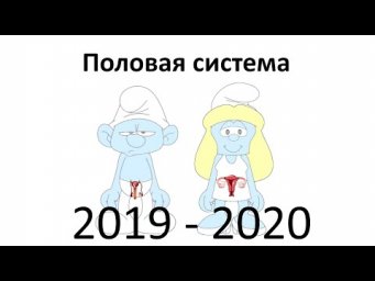 21. Половая (8 класс) - биология, подготовка к ЕГЭ и ОГЭ 2020