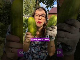ОН ВАМ НЕ КУКУМБЕР! ❌