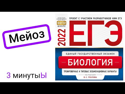 Мейоз | Рохлов 2022 | Разбираем тесты ЕГЭ по биологии