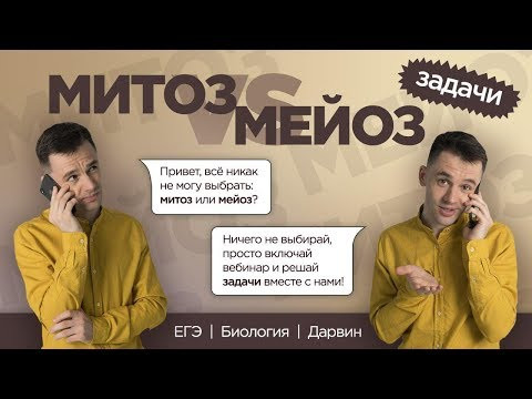 Мейоз и митоз | Решение задач ЕГЭ Мейоз и митоз | Решение задач ЕГЭ