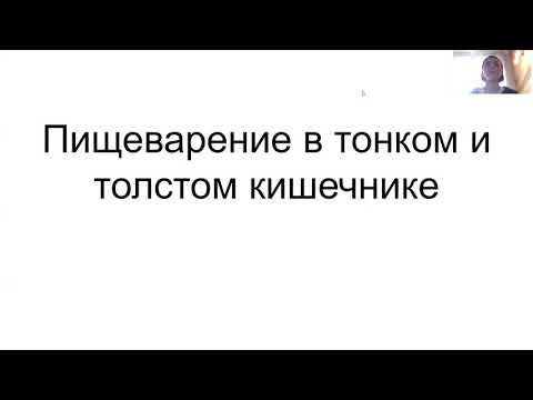 Что происходит в кишечнике + как часто нужно какать Что происходит в кишечнике + как часто нужно какать