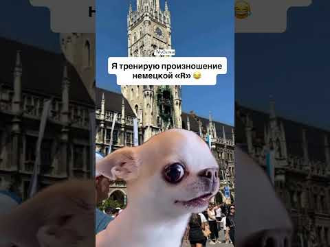 Почему произношение в немецком — это база? Почему произношение в немецком — это база?