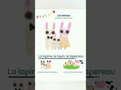 Тварини і їх діти французькою мовою