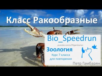 11. Ракообразные (Speedrun зоология 7 класс, ЕГЭ, ОГЭ 2021)