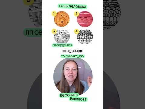 материалы по биов тгк @webium_bio #биология #егэ #биологияегэ #химбио