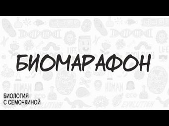 Занятие 2 | Решение базовых задач на биосинтез