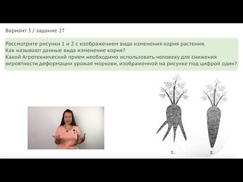 Корнеплоды / ОГЭ 2020 / задание 27