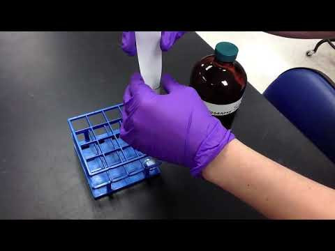 Chromatography Experiment (Eng)