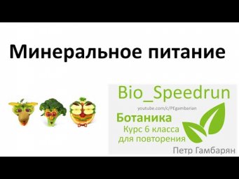 9. Минеральное питание (Speedrun ботаника 6 класс, ЕГЭ, ОГЭ 2021)