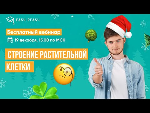 Строение растительной клетки | Илья Кац | Онлайн-школа EASY PEASY | ОГЭ биология