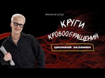КРУГИ КРОВООБРАЩЕНИЯ. АРТЕРИАЛЬНОЕ ДАВЛЕНИЕ. ПУЛЬС | Целевой экзамен