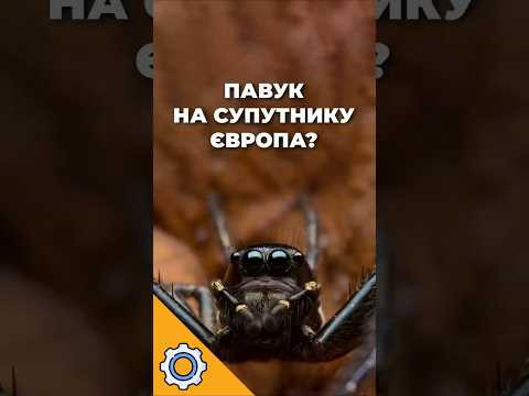 На супутнику Юпітера знайшли &laquo;павука&raquo;, що веде до життя