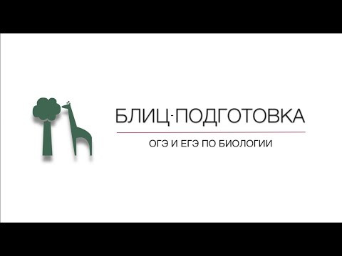 ЗАДАНИЯ 4 и 5 / ОГЭ ПО БИОЛОГИИ / БЛИЦ-ПОДГОТОВКА с Александрой Соболевой