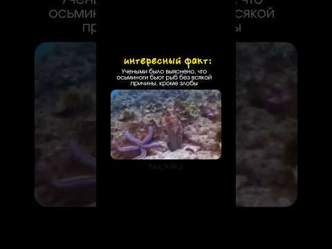 а вы знали про этот забавный факт? а вы знали про этот забавный факт?
