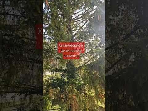 Химические и физические явления #химия Химические и физические явления #химия