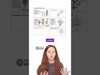 про ХИЩНЫЕ растения #биологияегэ #биология