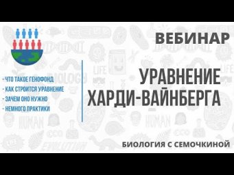 Уравнение Харди-Вайнберга | Биология с Семочкиной