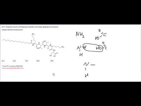 А27 РТ 20-21 этап 2. Пептидные связи. Тесты по химии