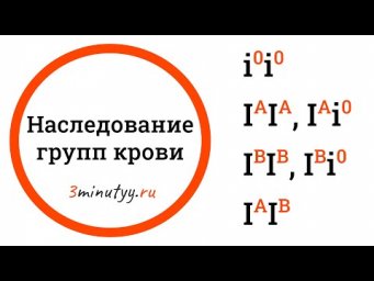 Наследование групп крови, кодоминирование, множественный аллелизм