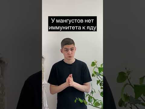 Заведи бы себе такого?