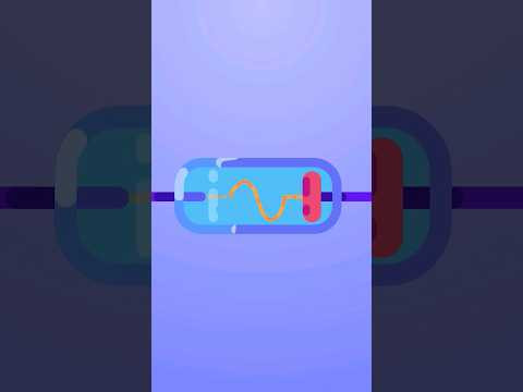 Будова точкового діода | The structure of a point-contact diode Будова точкового діода | The structure of a point-contact diode