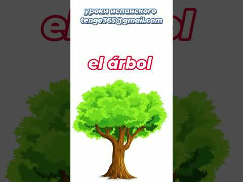 Испанский язык. Устойчивые выражения: " El dinero no crece en ... " #shorts