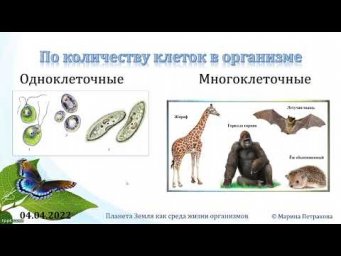 5 класс. Урок 5 апреля 2022 года