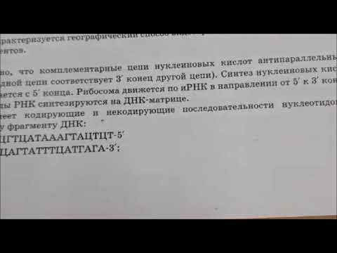 Задание ЕГЭ. Задача № 5 на биосинтез белка. Поворачиваем иРНК. Задание ЕГЭ. Задача № 5 на биосинтез белка. Поворачиваем иРНК.