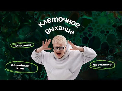 Марафон по биохимии | Клеточное дыхание Марафон по биохимии | Клеточное дыхание