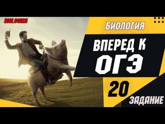 ОГЭ Биология Разбор Задания 20 Рохлов 2019