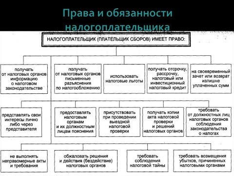 Налогоплательщики: права и обязанности. ЕГЭ 2019 Обществознание.