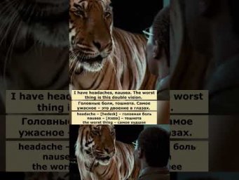 train wreck (Доктор Дулиттл)  #английский  #английскийпофильмам