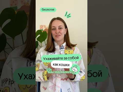Берите пример с котиков 