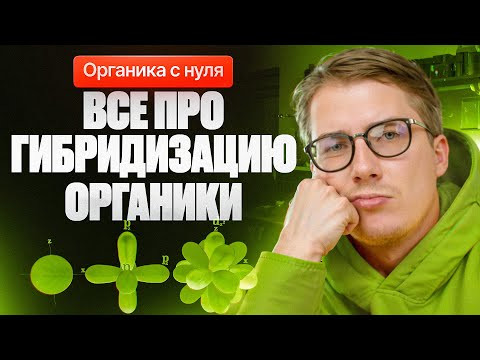 4. Все про гибридизацию в органике | Органика с НУЛЯ | Степенин и Дацук